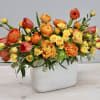Low arrangement of orange ranunculus, yellow spray roses, and coral tulips in a white rectangular vase