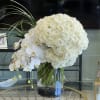 This stylish, modern floral arrangement features a tight cluster of white Roses