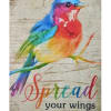 Colorful bird illustration on rustic sign with the phrase “Spread your wings and fly.”