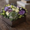 Purple and cream roses with a succulent in a wooden box