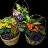 Three wicker baskets of mixed potted flowers and plants