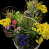 Three baskets of colorful potted flowers and plants with tall spiky foliage