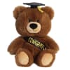 This adorable and soft bear is dark brown with light brown paws.