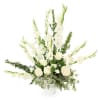 Tall, serene snapdragon spikes rise above a clustered base of white roses