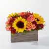 Sunflowers, roses, and carnations arranged in a striped rectangular box