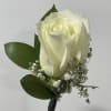 White Rose 