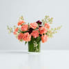 Coral carnations in a clear glass vase with small white filler flowers