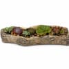 A beautiful  crafted cement Driftwood planter filled with a  variety
