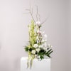 Tall floral arrangement with white and pale pink blooms in a white container