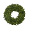 Green foliage wreath on a white background