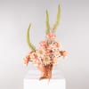 Peach roses and pale blooms in a peach vase with tall green spikes