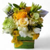 Brighten their recovery with our Healing Citrus Sunshine Bouquet, exclusively designed at