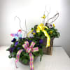 Bright pansies accented with ribbon, butterflies and twigs - cheerful spring-ready gift
