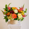 Coral and ivory garden roses meet burgundy cymbidium orchids, vibrant snapdragons, yellow