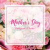 Mother's Day designer's choice floral arrangement with pink and white blooms