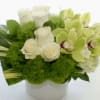 Compact arrangement of white roses, green dianthus, and green orchids in a white vase