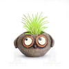 Owen the baby brown owl mini desktop planter is 3.5 inches wide