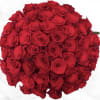 Large bouquet of red roses on a white background