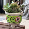 A hand-painted ceramic planter filled with a sculptural mix of succulents and