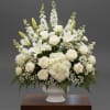 A cloud of all-white blooms creates a calm, reverent presence-perfect as a
