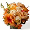 Daisies and more arranged in a modern glass cube vase wrapped in