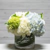 Blue and white hydrangeas in a clear glass vase