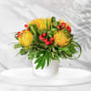 A cluster of sunny yellow pincushion-style blooms commands the scene in this