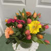 Arrangement  is designed  with Holland Tulips &amp; Gerbera Daisies, 