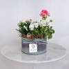 Oval galvanized planter with pink and white flowering plants, moss, and a small bird figurine with striped ribbon.