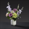 Small white ceramic vase filled with miniature hydrangea, fragrant stock, antique carnations
helleborus