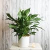 Potted peace lily with white blooms in a white container beside a small candle