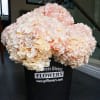 Large bundle of blush and cream flowers in a black florist bucket
