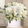 Large white floral arrangement with orchids and roses in a round box