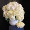 Voluminous and pillowy hydrangea is ready to drift your way.  A