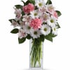 Pink carnations and white daisies in a clear glass vase
