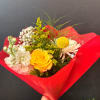 Big Boss Pick Of The Week Special!! Styles may vary, Let the