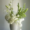 A fresh, light-filled arrangement in crisp white and vibrant green tones. 
Featuring