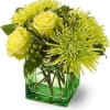 A green light means, &ldquo;Go!&rdquo; and this all-green flower arrangement is ready