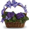 Velvety violets, beautiful butterflies, a radiant ribbon and a basketful of delight.