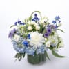  This medley brings the calming elegance of a winter morning to