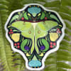 A beautiful sticker depicting original artwork by local Phoenix artist, Sarah Woodward