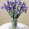 Stunning - a glass vase filled with beautiful blue iris. This simple