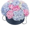 Perfectly coordinated symphony of blushing pink peonies and Blue hydrangeas that will