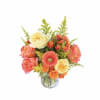 A sunlit mix of coral, peach, pink and yellow blooms makes this