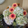 Peach gerbera daisies pop against full clusters of pale green, white, and