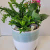 A lovely combo of ferns and a blooming Kalanchoe planted in a