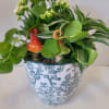 A very pretty ceramic container planted with indoor houseplants. The little ceramic