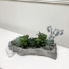 Succulent arrangement in a rustic wood planter with a small glass votive