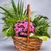 Bright pink carnations burst from a low wicker basket in this Garden