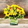 This beautiful square container includes sunflowers, roses and alstroemerias. 